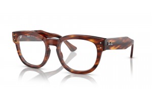 Ray-Ban RX0298V MEGA HAWKEYE Striped Havana