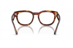 Ray-Ban RX0298V MEGA HAWKEYE Striped Havana
