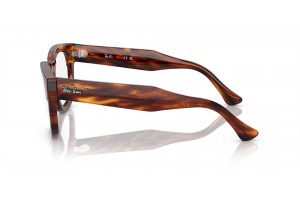 Ray-Ban RX0298V MEGA HAWKEYE Striped Havana
