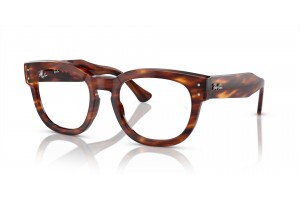 Ray-Ban RX0298V MEGA HAWKEYE Striped Havana
