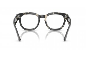 Ray-Ban RX0298V 8117 Mega Hawkeye Grey Havana