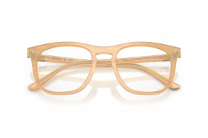 Ray-Ban RX2210V 8383 Photo Striped Brown szemüveg