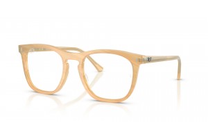 Ray-Ban RX2210V 8383 Photo Striped Brown szemüveg