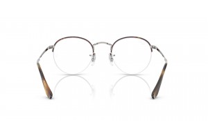Ray-Ban ROUND GAZE Havana Silver - demo
