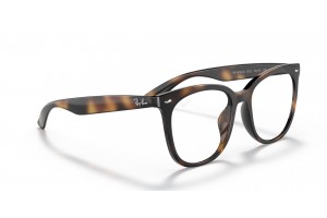 Ray-Ban RX4379VD 2012 Havana - demo lencse