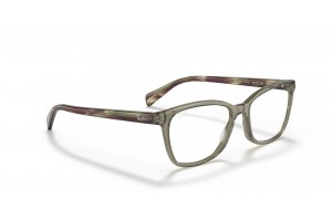 Ray-Ban RX5362 8178 Transparent Green