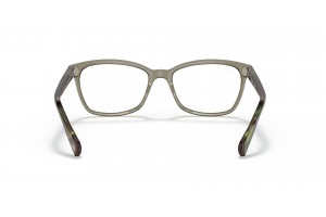 Ray-Ban RX5362 8178 Transparent Green