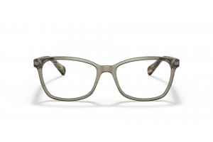 Ray-Ban RX5362 8178 Transparent Green