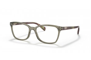 Ray-Ban RX5362 8178 Transparent Green