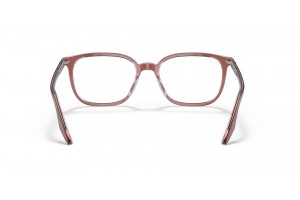 Ray-Ban RX5406 8171 Brown Transparent