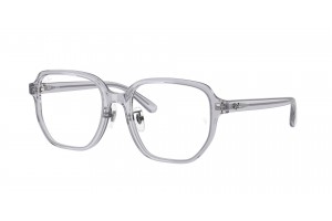 Ray-Ban RX5424D 8415 Transparent Grey szemüveg - demo lencse