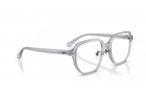 Ray-Ban RX5424D 8415 Transparent Grey szemüveg - demo lencse
