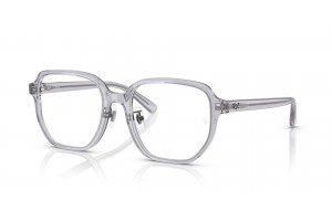 Ray-Ban RX5424D 8415 Transparent Grey szemüveg - demo lencse