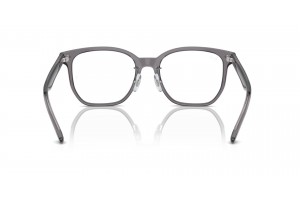 Ray-Ban RX5425D 8268 Transparent Grey - demo lencse