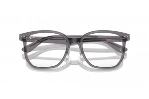 Ray-Ban RX5425D 8268 Transparent Grey - demo lencse