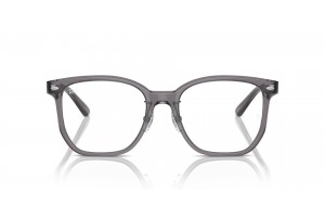 Ray-Ban RX5425D 8268 Transparent Grey - demo lencse