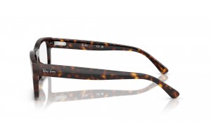 Ray-Ban RX5435 2012 Havana - demo lencse