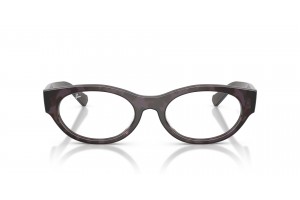 Ray-Ban RX5447 8461 Havana Grey szemüveg — demo lencse