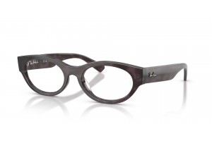 Ray-Ban RX5447 8461 Havana Grey szemüveg — demo lencse