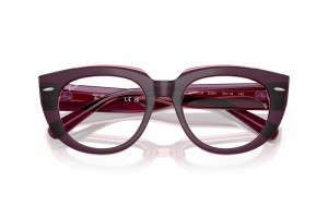 Ray-Ban RX5586 DOREEN Violet on Transparent Pink