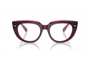 Ray-Ban RX5586 DOREEN Violet on Transparent Pink
