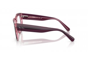 Ray-Ban RX5586 DOREEN Violet on Transparent Pink