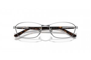 Ray-Ban RX6502D 2595 Silver - demo lencse