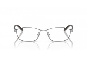 Ray-Ban RX6502D 2595 Silver - demo lencse