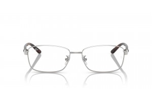 Ray-Ban RX6527D 2595 Brushed Silver szemüveg