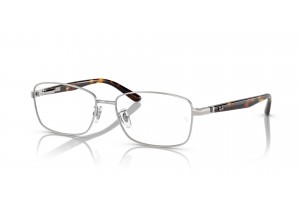 Ray-Ban RX6527D 2595 Brushed Silver szemüveg