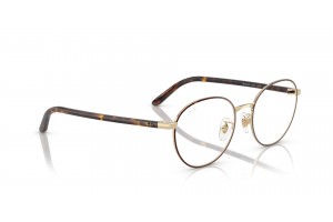 Ray-Ban RX6538D 3193 Havana On Pale Gold DEMO
