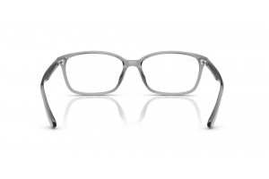 Ray-Ban RX7094D 8012 átlátszó szürke szemüveg