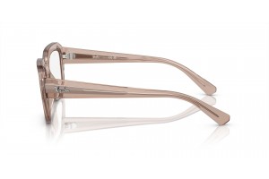 Ray-Ban RX7225 8317 LEONID - átlátszó világosbarna