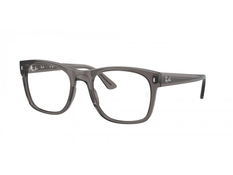 Ray-Ban RX7228 Opal Dark Grey - demo lencse
