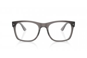 Ray-Ban RX7228 Opal Dark Grey - demo lencse