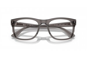 Ray-Ban RX7228 Opal Dark Grey - demo lencse