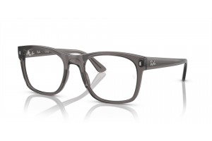 Ray-Ban RX7228 Opal Dark Grey - demo lencse