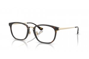 Ray-Ban RX7247D 8472 Havana On Pale Gold