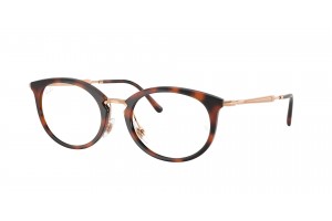 Ray-Ban RX7255 5687 Striped Havana szemüveg