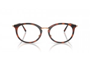 Ray-Ban RX7255 5687 Striped Havana szemüveg