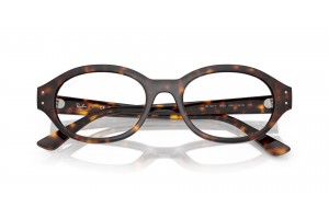 Ray-Ban RX7257 Shilo Havana