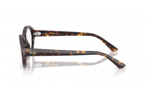 Ray-Ban RX7257 Shilo Havana