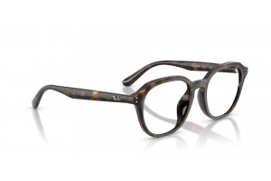 Ray-Ban RX7259D 2012 Havana - demo lencsével