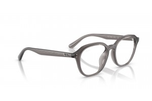 Ray-Ban RX7259D 8257 - Átlátszó sötétszürke (DEMO)