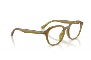 Ray-Ban RX7259D 8437 Transparent Olive szemüveg