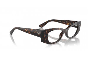 Ray-Ban RX7327 8320 Havana - demo lencse