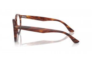 Ray-Ban RX7680V LARRY Striped Havana szemüveg