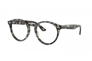 Ray-Ban RX7680V LARRY Grey Havana - demó lencse