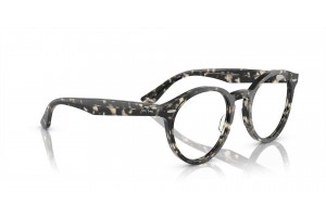 Ray-Ban RX7680V LARRY Grey Havana - demó lencse