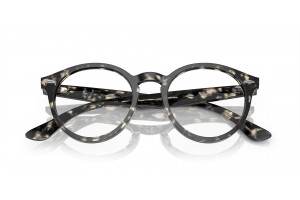 Ray-Ban RX7680V LARRY Grey Havana - demó lencse